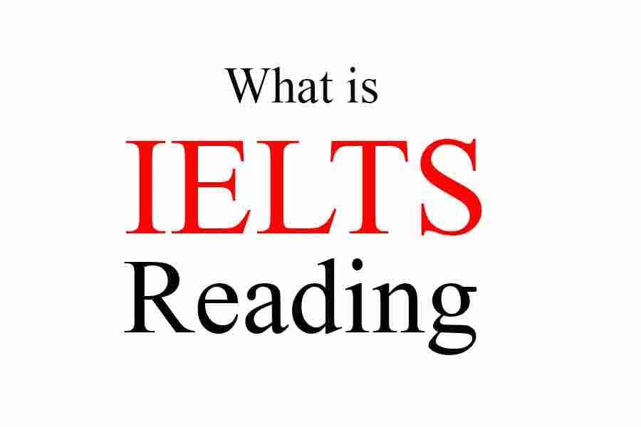 What Is IELTS Reading